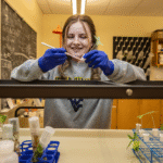 College student discovers mysterious fungus that eluded LSD’s inventor