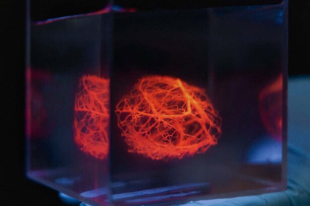 Complex blood vessel nets could be 3D printed for artificial organs