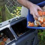 Composting at Home: A Natural Way to Revitalize the Soil