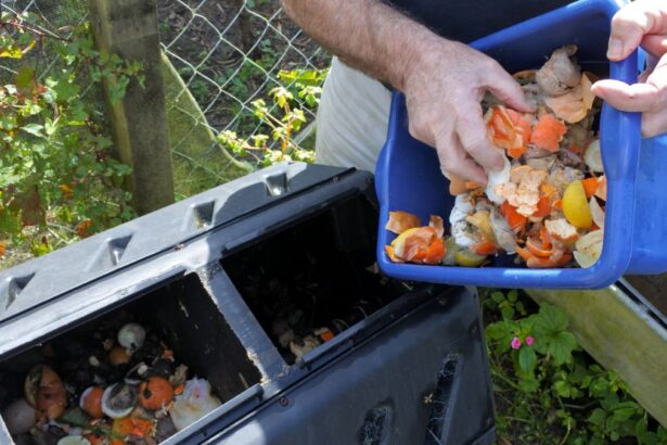 Composting at Home: A Natural Way to Revitalize the Soil