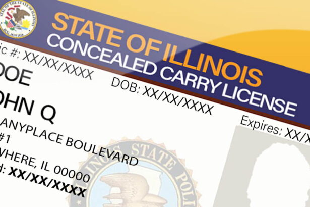 Concealed carry holder shoots at armed robbers in the West Loop