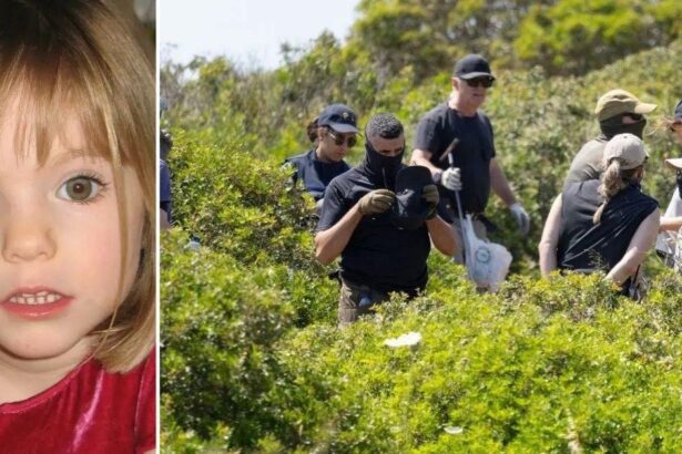 Cops Send Samples For Testing After New Hunt