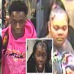 Cops seek 5 suspects in Red Line armed robbery