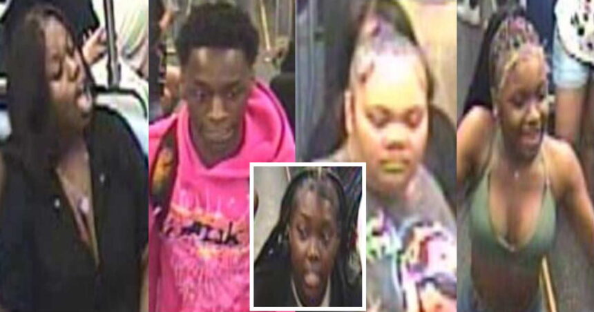 Cops seek 5 suspects in Red Line armed robbery