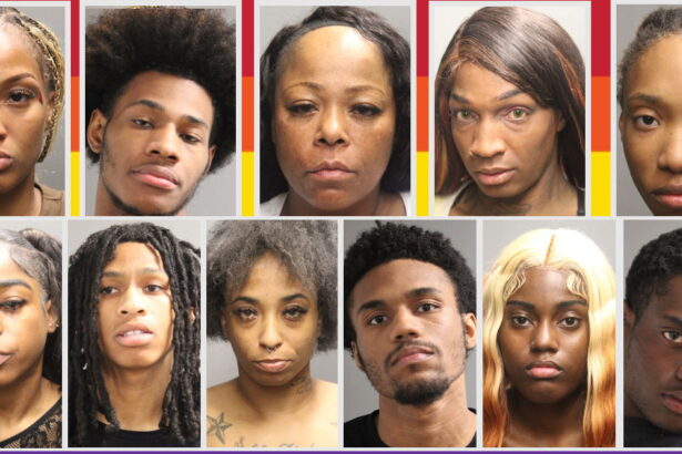 Cops seize 6 guns, arrest 39 people at Chicago Pride Parade gathering