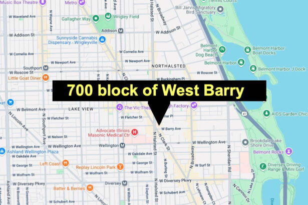 Couple robbed, carjacked at gunpoint in Lakeview