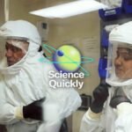 Creating Bird Flu Vaccines for Humans at a Biosecure Laboratory
