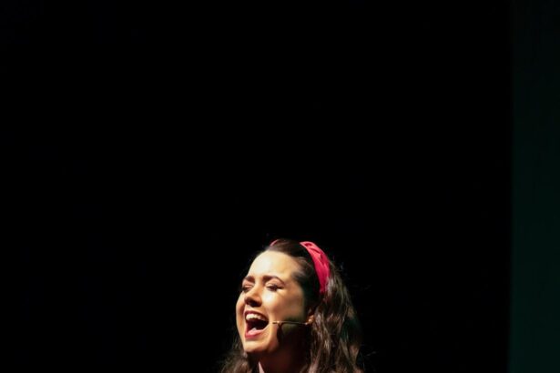 Crew seeking funds to take show on road