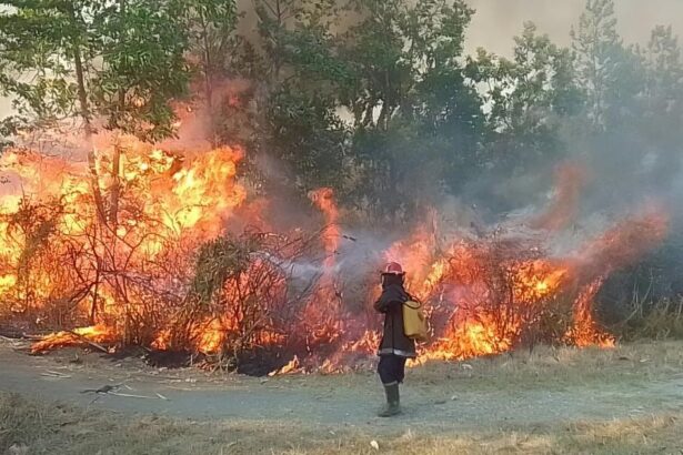 ‘Crunch time’ on climate