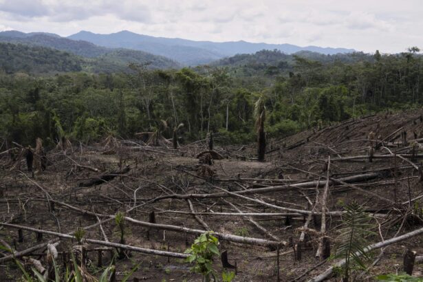 Cuts to USAID severed longstanding American support for Indigenous peoples around the world