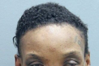 DNA links woman to 2024 carjacking and she allegedly struck again before cops had a chance to arrest her