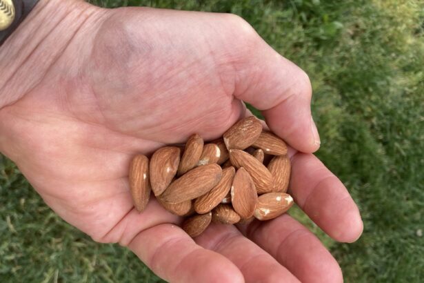 Daily almond snack improves health of people with metabolic syndrome