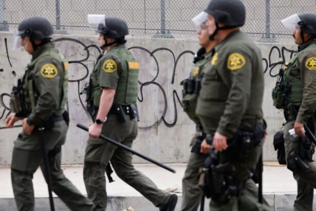 David Huerta, SEIU Union Leader, Arrested In LA ICE Raids