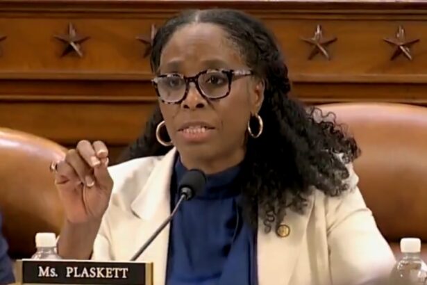 Democrat Stacey Plaskett Lashes Out at Critic After Her Meltdown Against Treasury Bessent in Profanity-Laced Tirade – “C*nt” – “Twa*” |