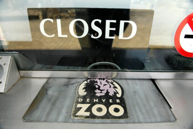Denver Zoo closing early ahead of planned City Park teen ‘takeover’