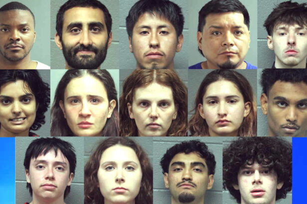 Details of Tuesday protest arrests emerge as ‘No Kings’ march appears to go smoothly