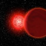 Did a Passing Star Cause Earth to Warm 56 Million Years Ago? : ScienceAlert