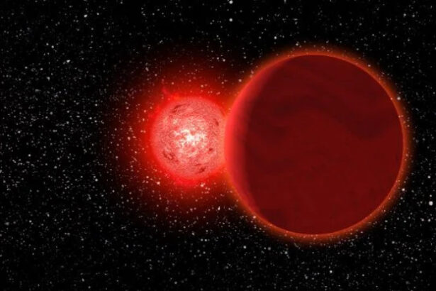 Did a Passing Star Cause Earth to Warm 56 Million Years Ago? : ScienceAlert