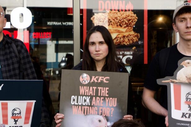 Direct action hits KFC drive-thru