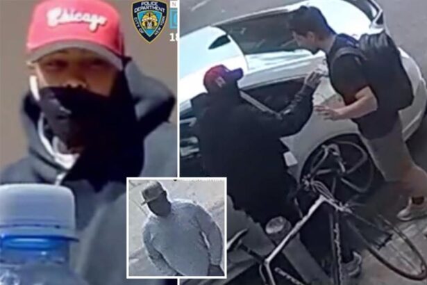 Dognapping duo snatch 2 French bulldogs from NYC home during string of violent heists: cops