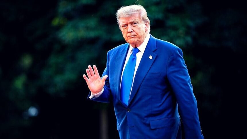 Dominant Trump Has Meeting With Suited-up Zelensky in the Sidelines of NATO Summit (VIDEOS) |