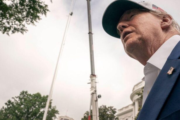 Donald Trump Slammed For Installing Two ‘Giant Phalluses’ At White House