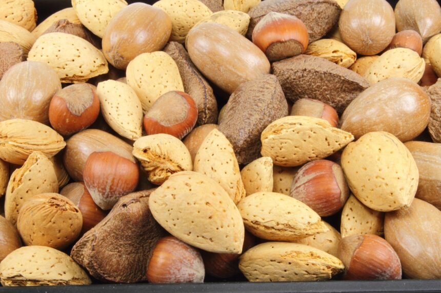 Double serving of evidence underscores power of plant-based diet for heart health