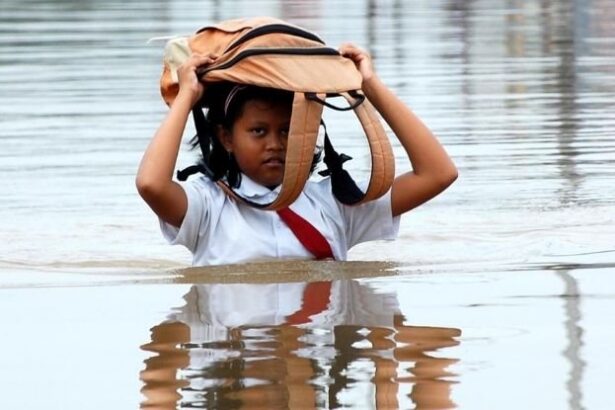 Earth’s Energy Imbalance Has Doubled in 2 Decades, Study Warns : ScienceAlert