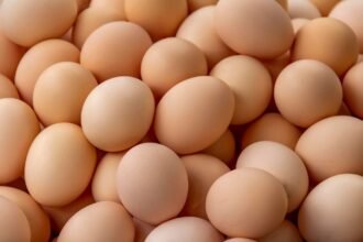 Egg Recall As Salmonella Outbreak Leaves 79 Sick, 21 Hospitalized