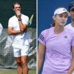 Elena Rybakina is an adult… It’s hurt her