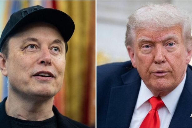 Elon Claims ‘Lying’ Trump Is A ‘Body Double’ Amid Spending Bill Fight