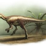 Enigmacursor mollyborthwickae: Small and speedy dinosaur recognised as a new species