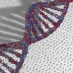 FDA hints relaxed rules are coming for rare disease gene therapy