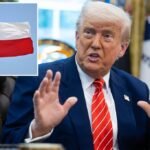 Federal judge declares Texas law granting illegal migrants in-state college tuition unconstitutional after state joins Trump in lawsuit