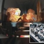 Feds nab 7 thieves accused of stealing 0M worth of gold, diamonds, rubies and other bling in biggest jewel heist in US history