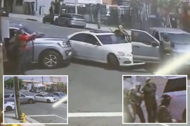 Feds ram car to catch ‘violent’ anti-ICE rioter in LA after alleged attack on border agent