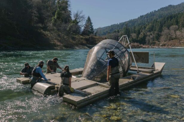 Fish rescue wins New Scientist Editors Award at Earth Photo 2025