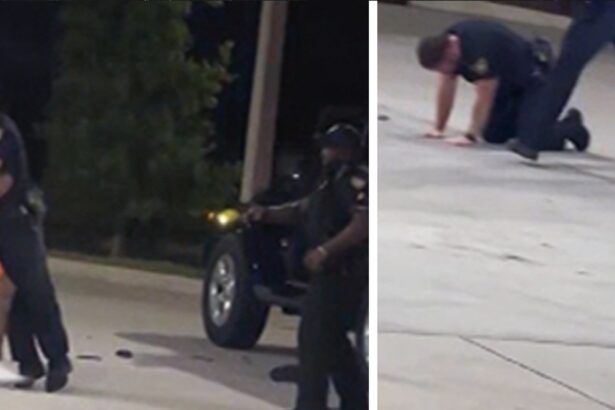 Florida Sheriff’s Deputy Accidentally Shoots Partner With Taser, on Video