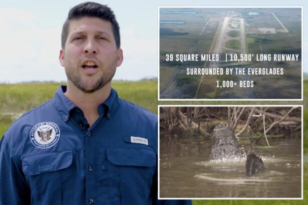 Florida offers Trump ‘alligator Alcatraz’ to detain illegal migrants