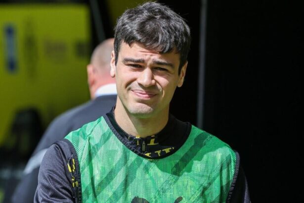 Fluminense vs. Dortmund live stream, how to watch Club World Cup, prediction: Odds, how to watch, pick