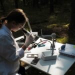 Fool’s Gold: The Trump Administration’s New Executive Order Is a Bad-Faith Attack on Science