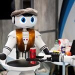 Forget the Terminators, our robot future may be squishy and fun