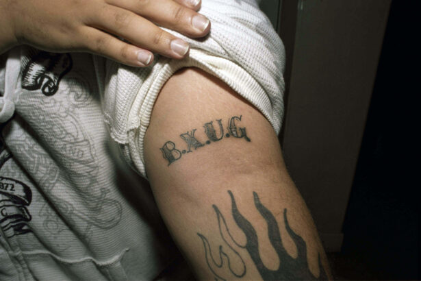 Four New York City Art Shows to See Right Now