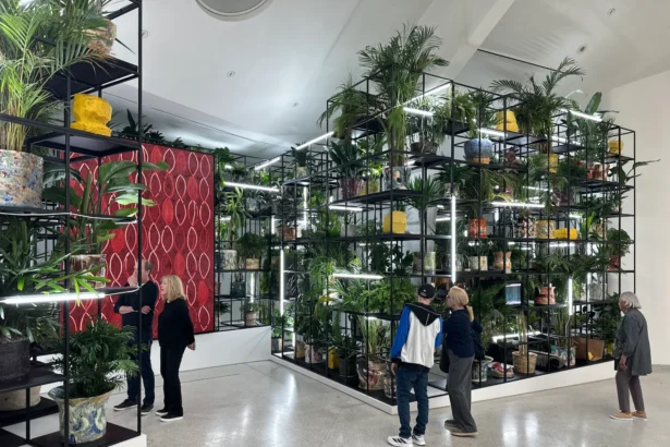 Four New York City Shows to See Right Now