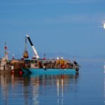 From sea monkeys to Great Salt Lake gold