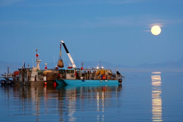 From sea monkeys to Great Salt Lake gold