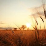 Funny, Positive and Beautiful Sayings for The Last Days of Summer