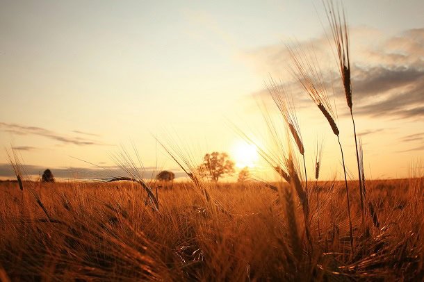 Funny, Positive and Beautiful Sayings for The Last Days of Summer