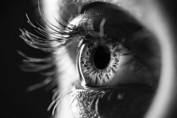 GLP-1 drugs may be linked to higher risk of eye disease: study