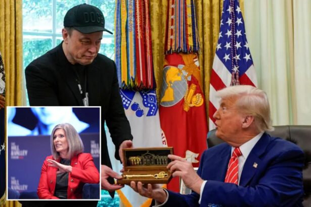 GOP senators push to cement core Musk-inspired DOGE savings at Treasury